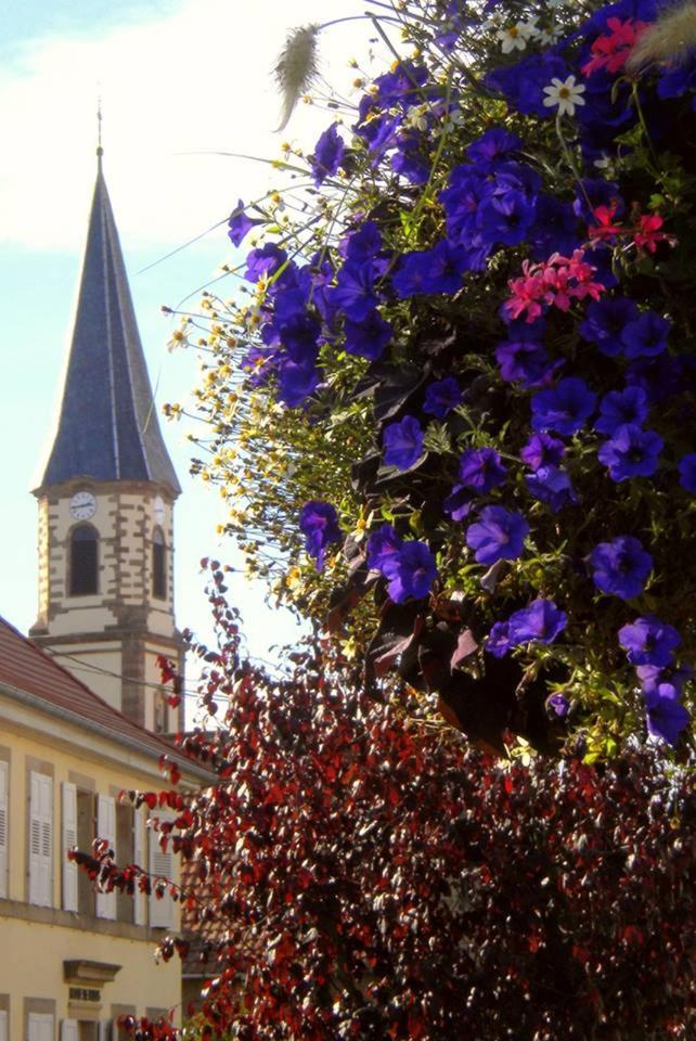 Gite "Le Piemont Des Vosges " Stotzheim Luaran gambar