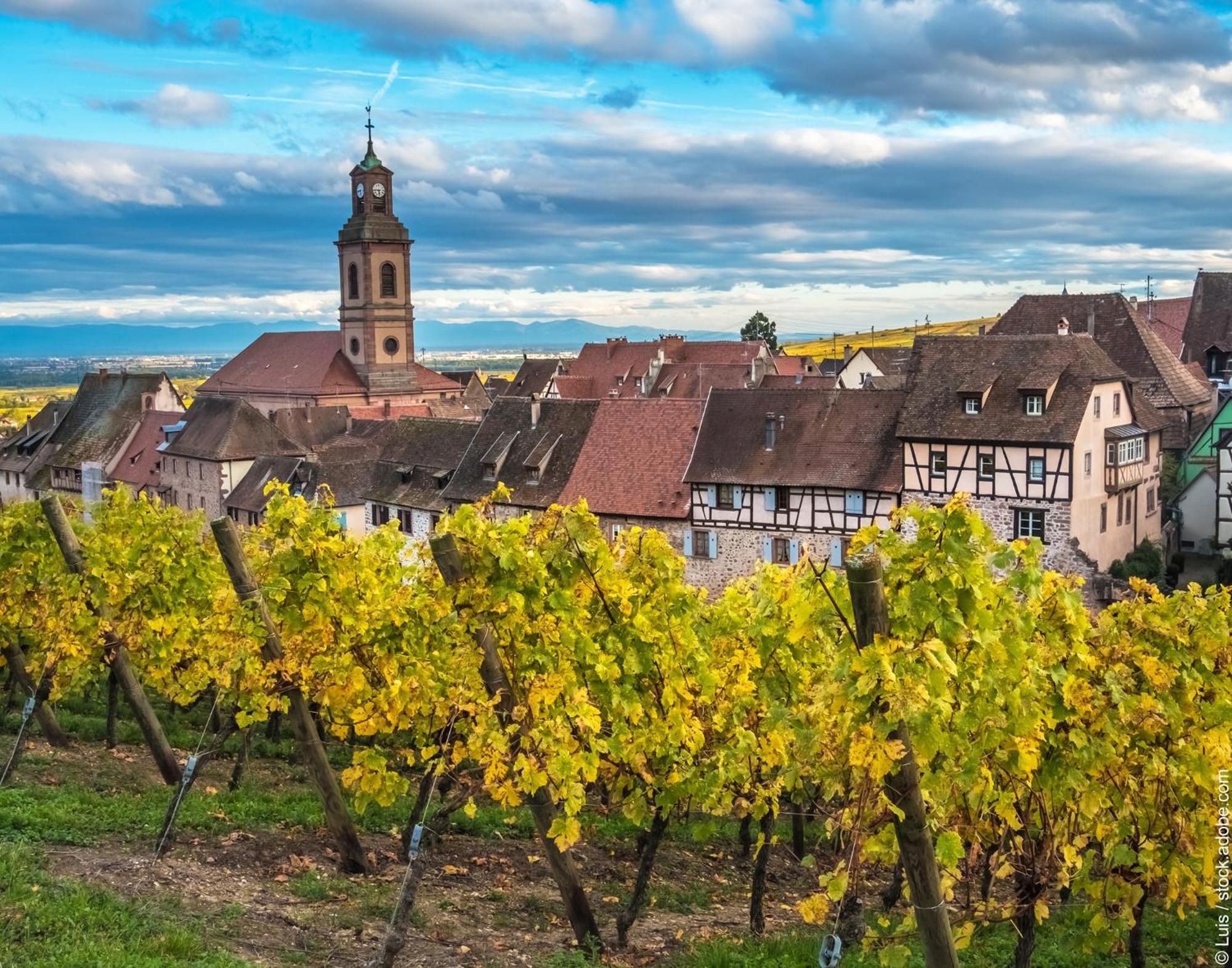 Gite "Le Piemont Des Vosges " Stotzheim Luaran gambar