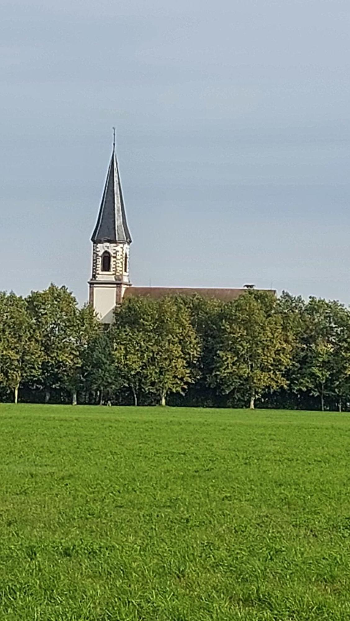 Gite "Le Piemont Des Vosges " Stotzheim Luaran gambar